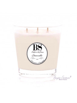 BOUGIE CITRONNELLE 550 GRS
