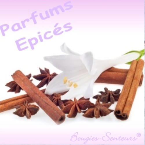 BOUGIES SENTEURS PARFUM DE GRASSE ÉPICÉS