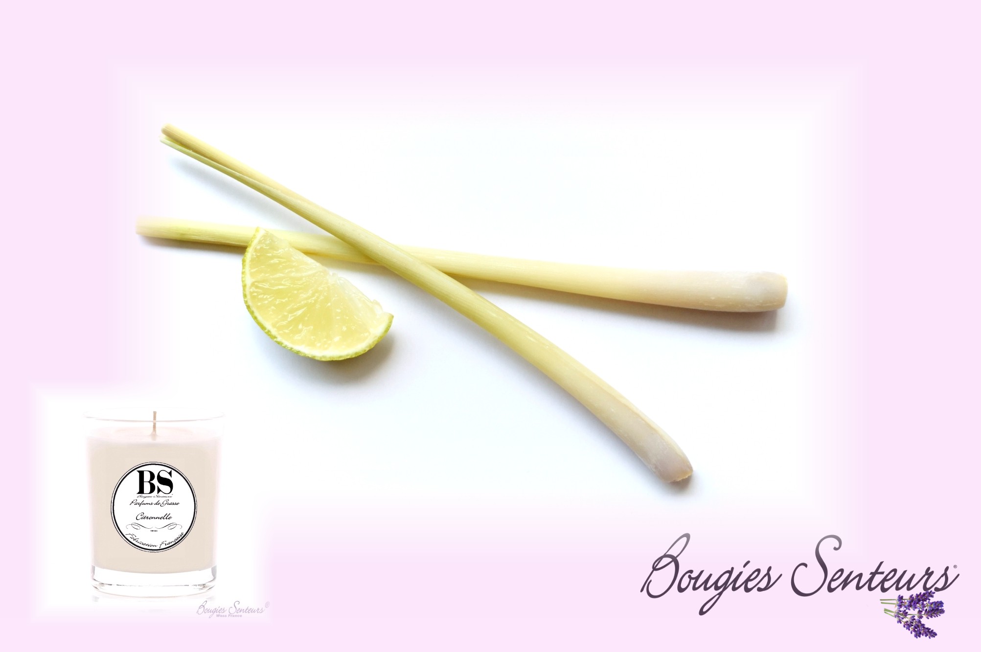 PARFUM CITRONNELLE - BOUGIES SENTEUR