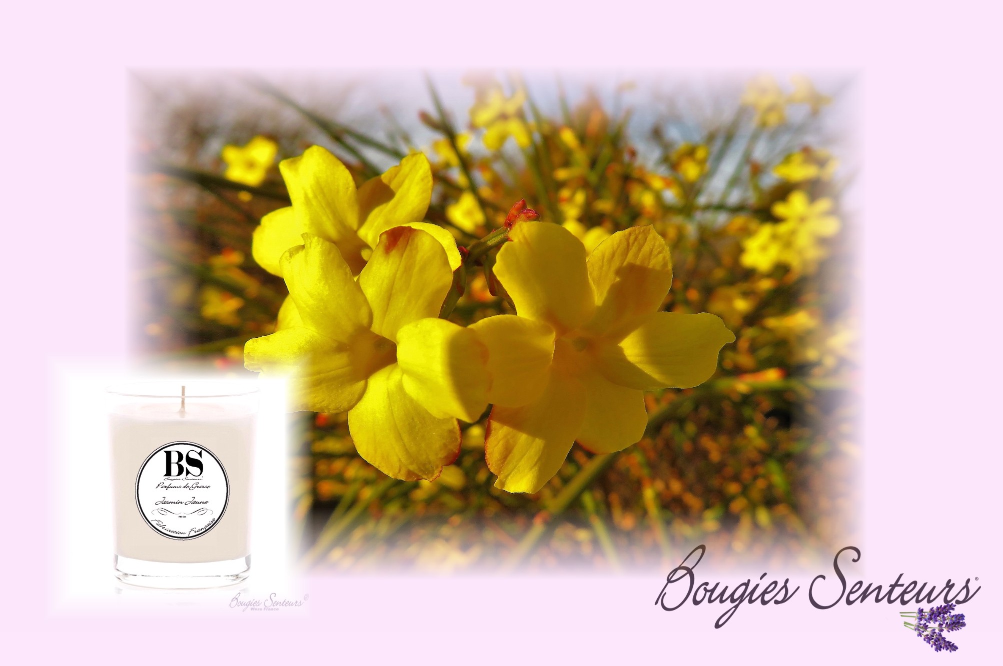 bougies PARFUM JASMIN JAUNE