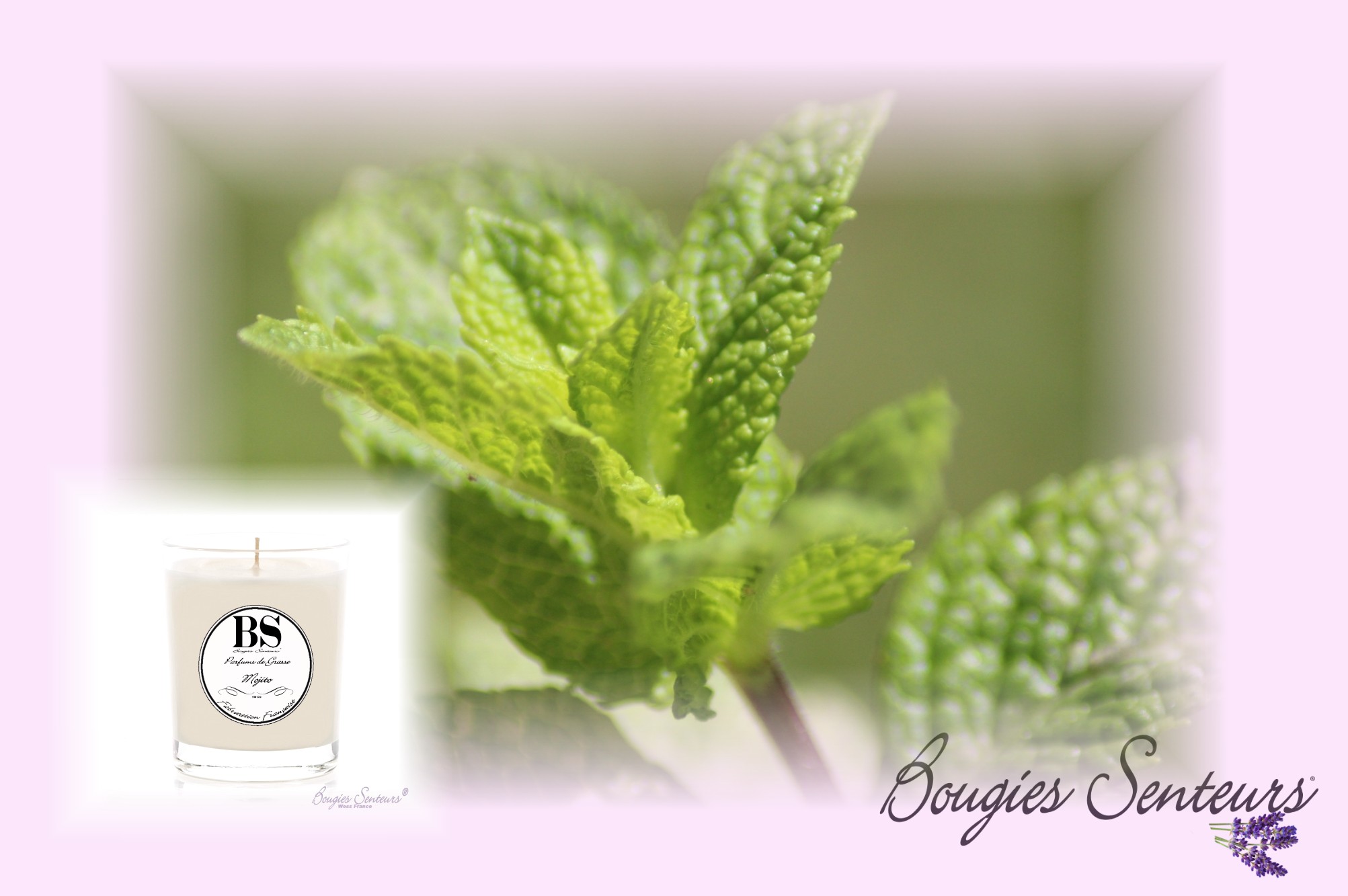 PARFUM MOJITO BOUGIES SENTEURS®