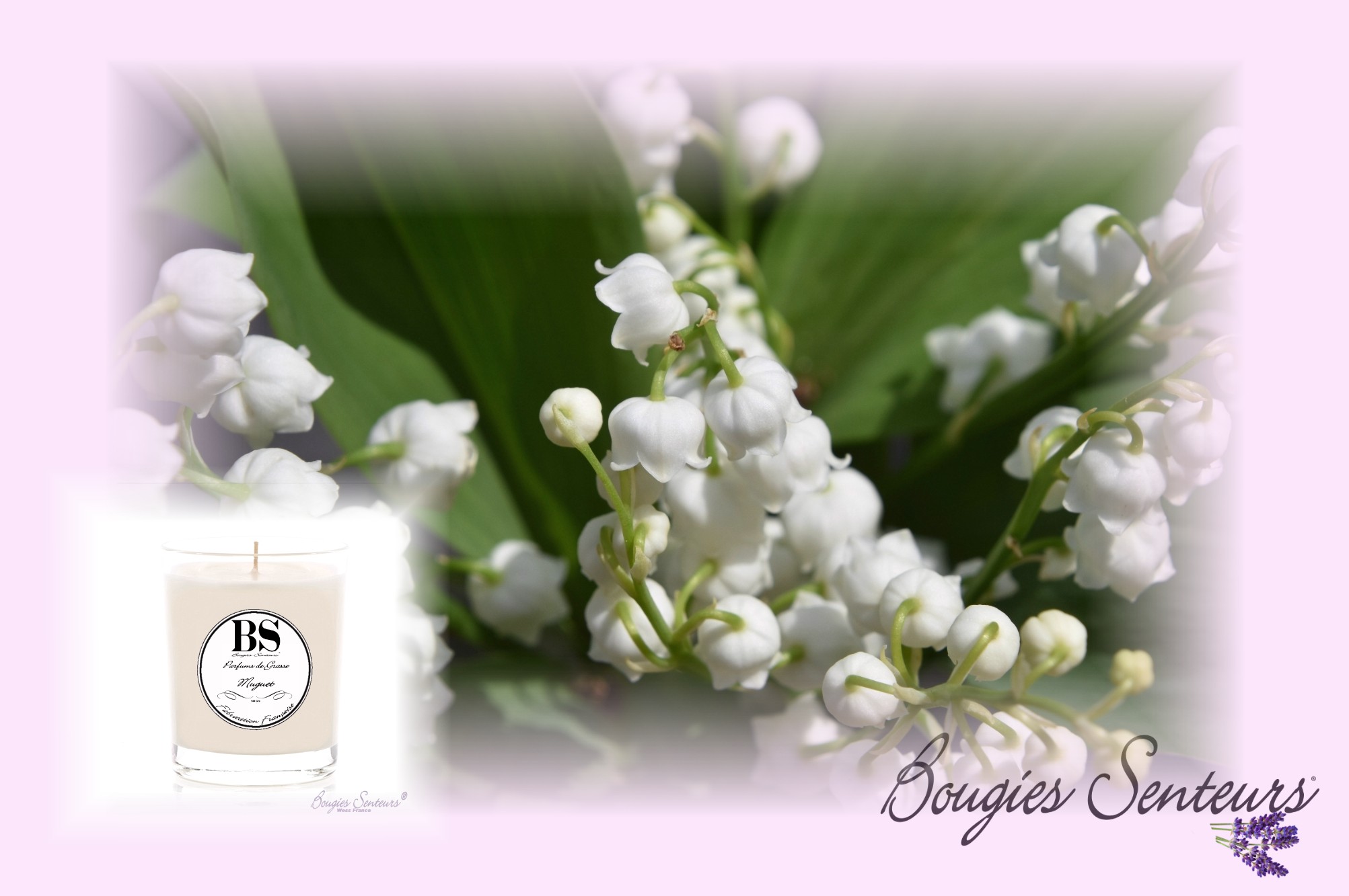 PARFUM MUGUET BOUGIES SENTEURS