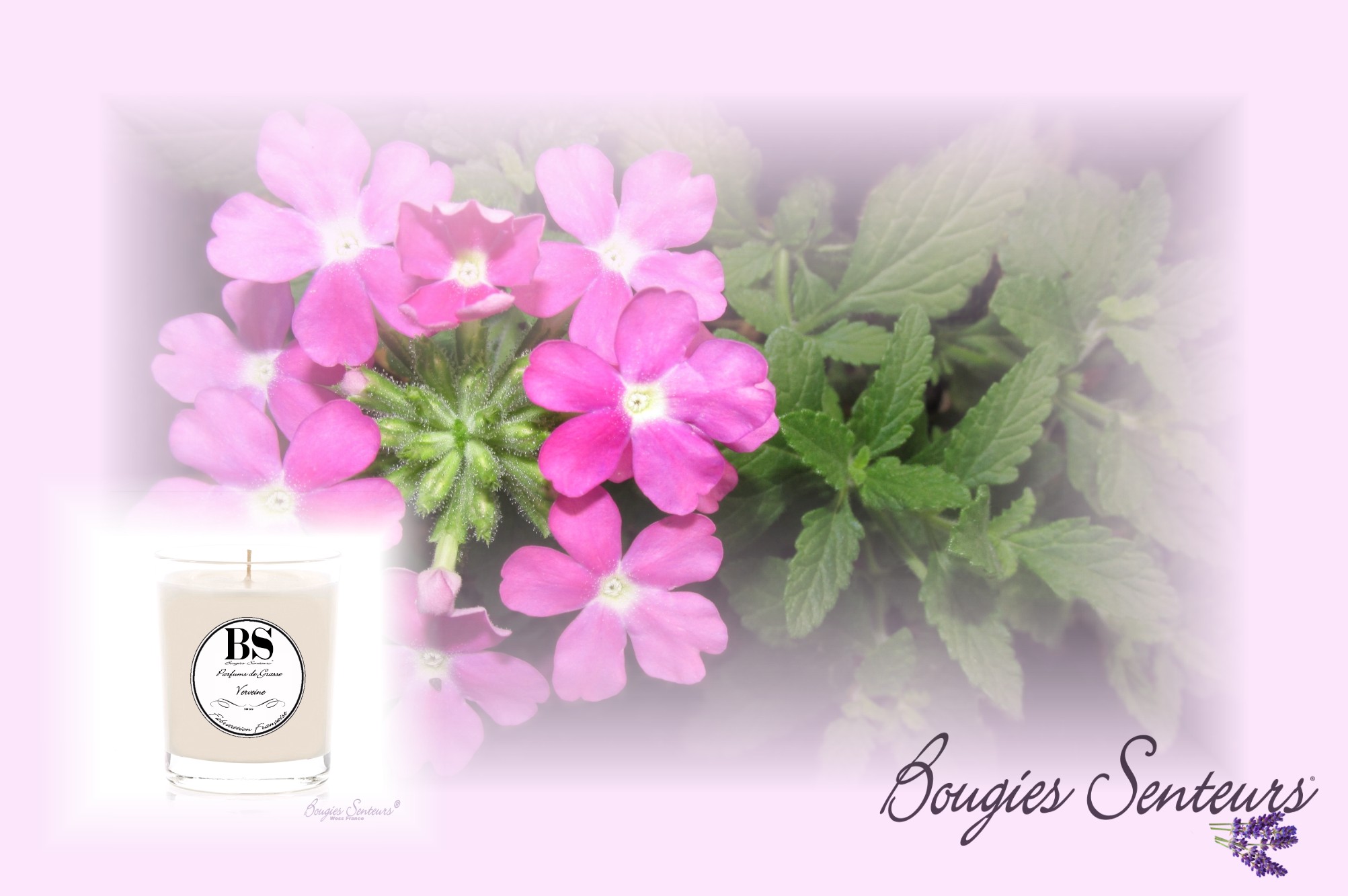 PARFUM VERVEINE BOUGIES SENTEURS®